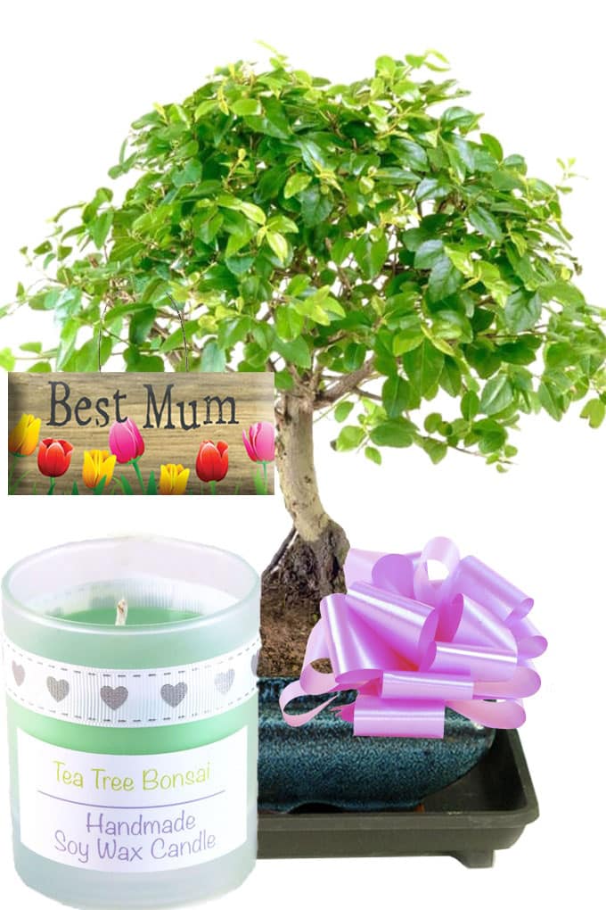 Mother's Day Gift with tag and candle