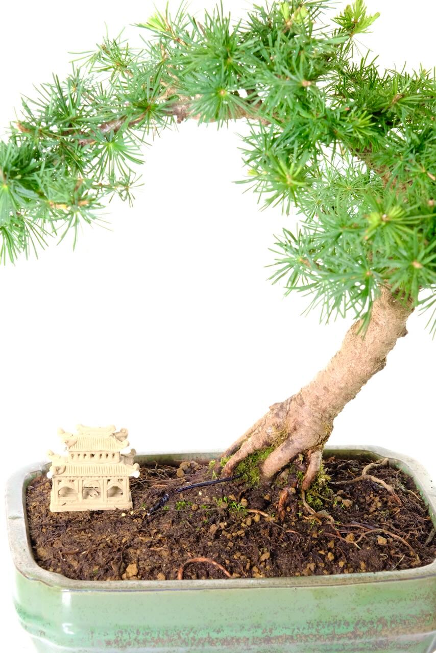 Lovely little temple ornament is included