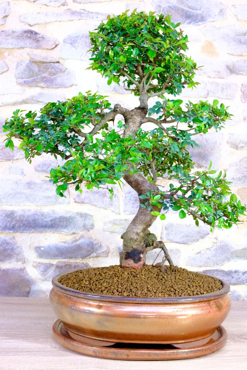 Sparkly copper ceramic pot and tray