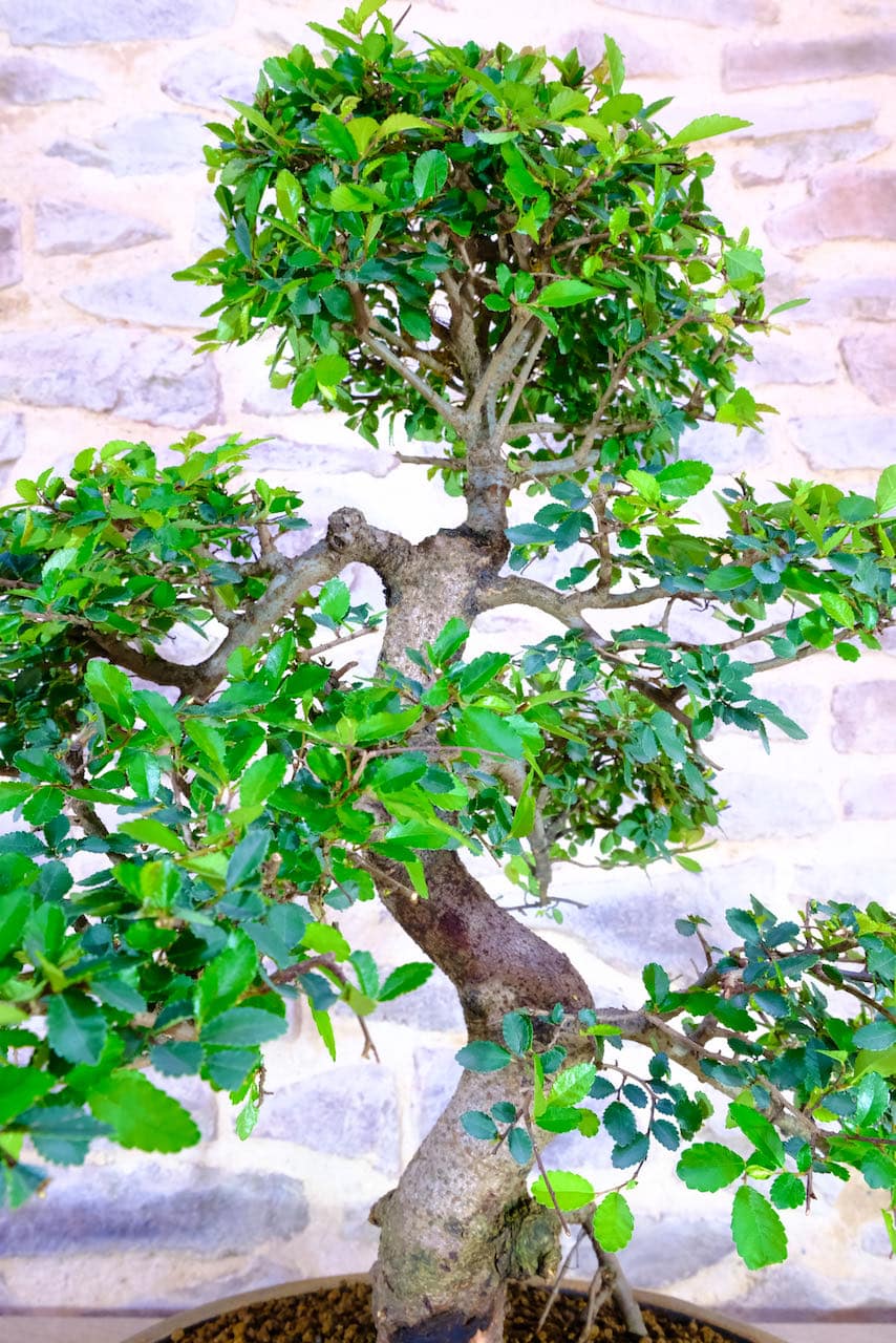 The proportions are outstanding