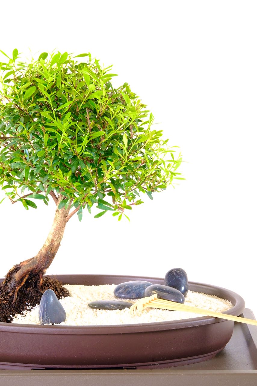 Free delivery to most of the UK