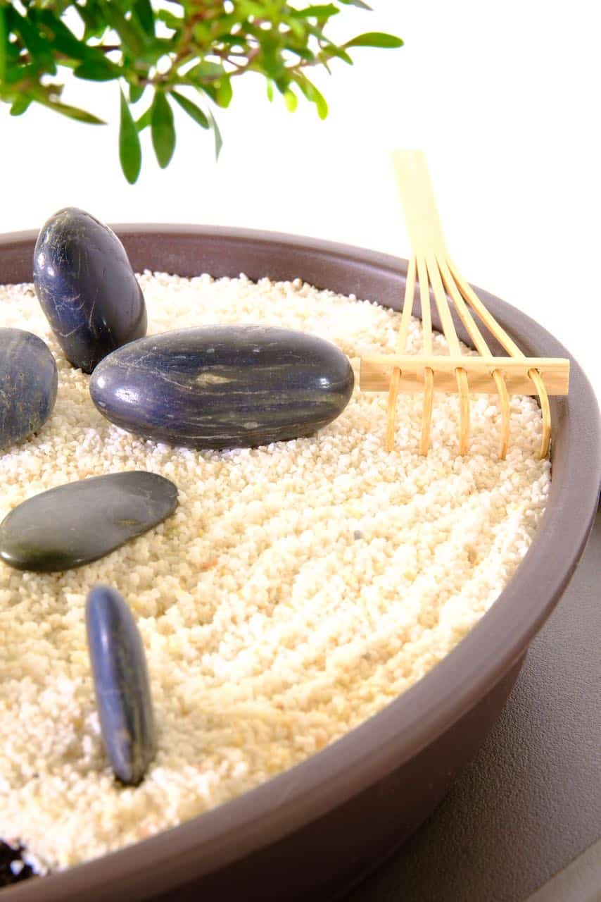 Easy care zen bonsai garden for beginners