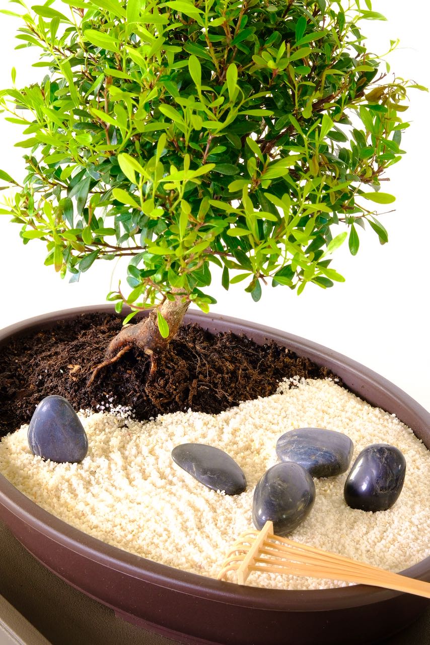 Sand, rake and polished black rocks included in this zen garden