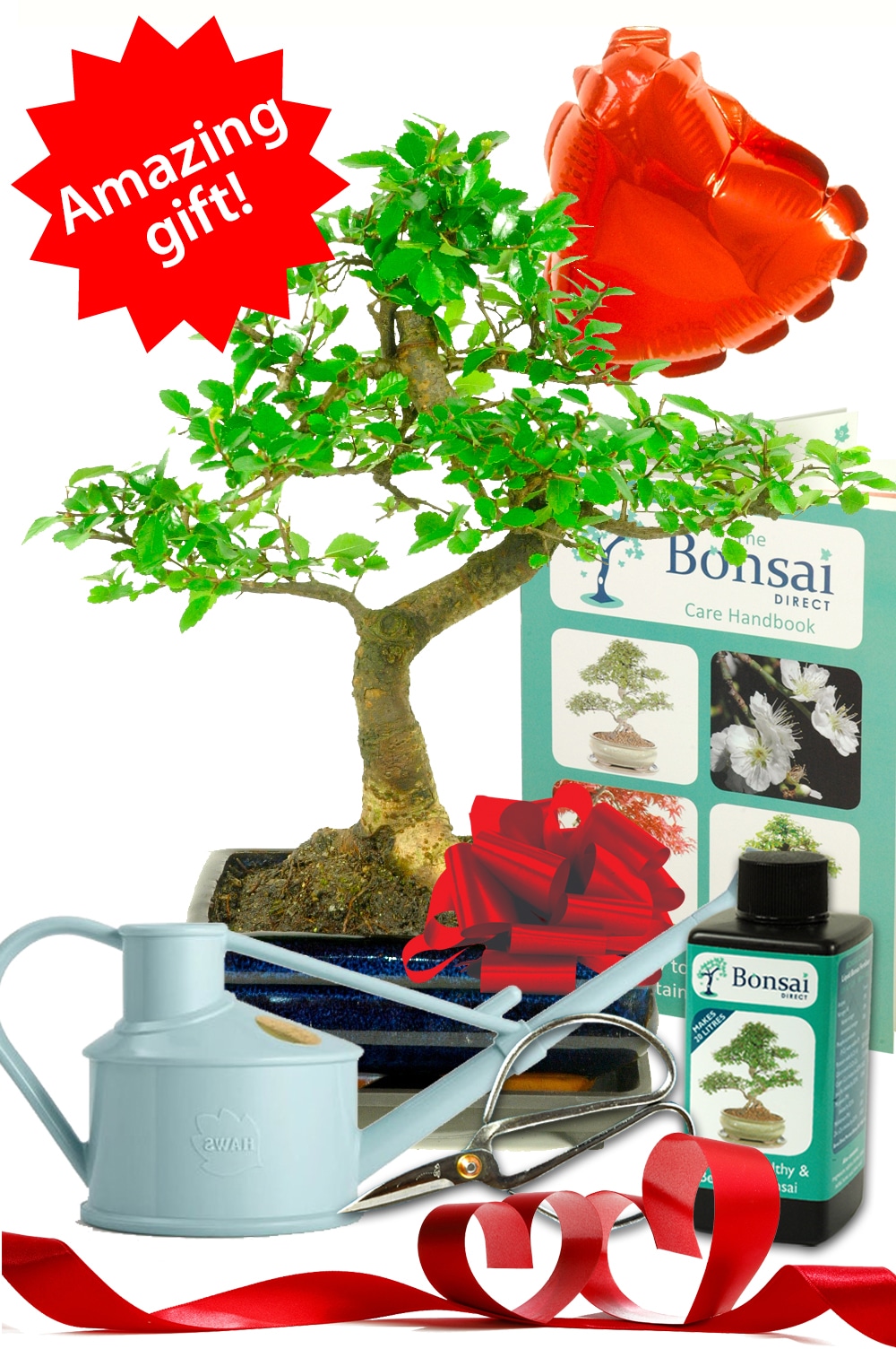 Comprehensive Valentine's Day Chinese Elm Bonsai Kit
