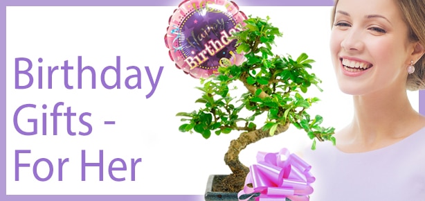 Bonsai Tree Birthday Gifts - For Her