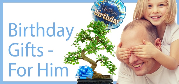 Bonsai Tree Birthday Gifts - For Him
