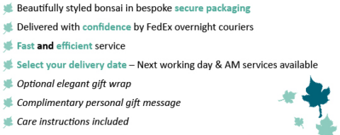 Bonsai Direct delivery