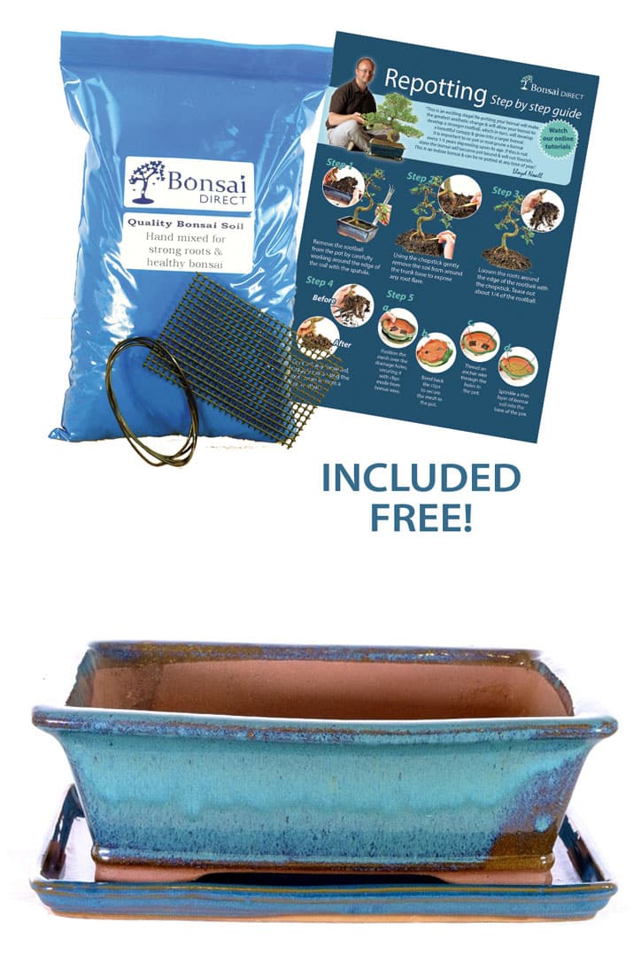 Extra large 12 inch Cyan glazed bonsai pot & tray for sale