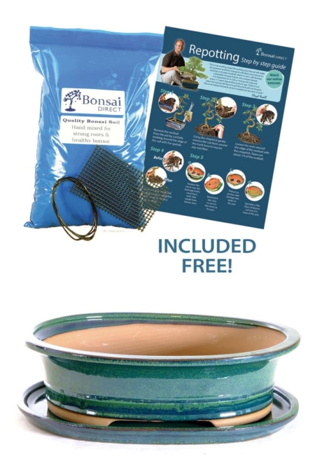 Extra large 12 inch oval forest green bonsai pot with tray for sale