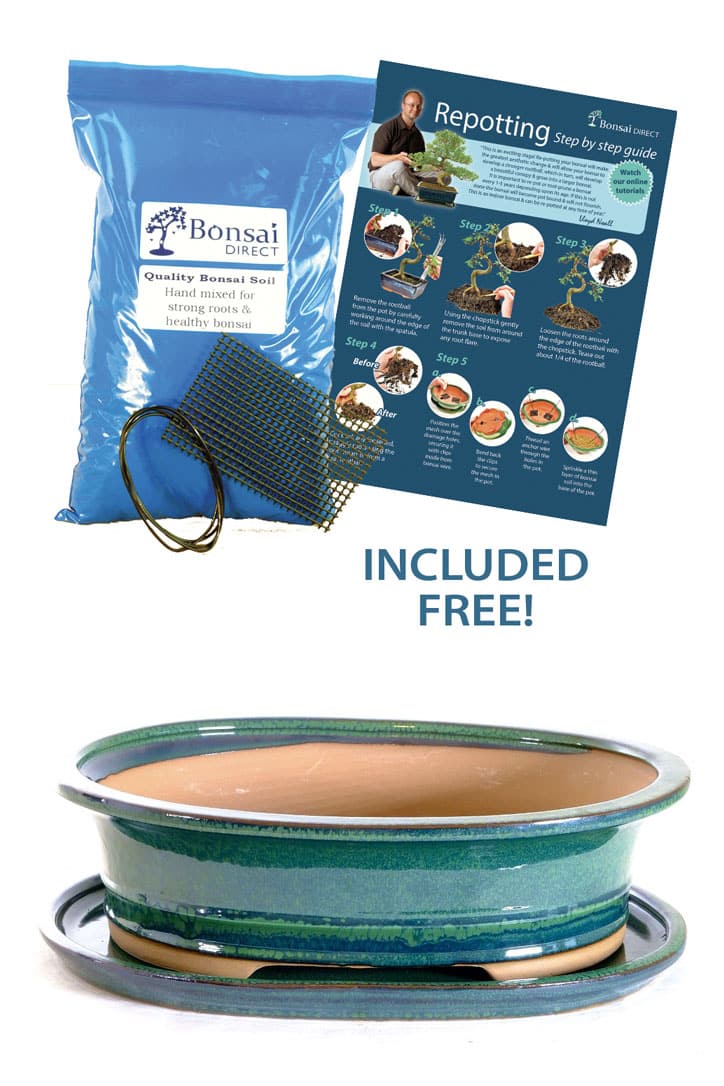 Extra large 12 inch oval forest green bonsai pot with tray for sale