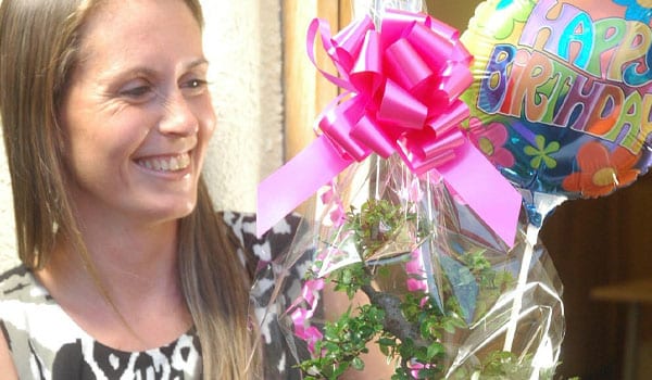 Bonsai Tree - Birthday Gifts