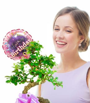 Bonsai Tree Birthday Gifts for Her
