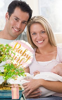 Bonsai Tree Gifts - New Mum Gifts