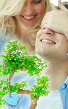 Bonsai Tree Gifts for Other Occasions