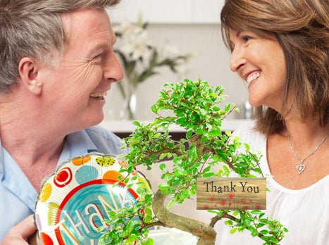 Bonsai Tree - Thank you gifts