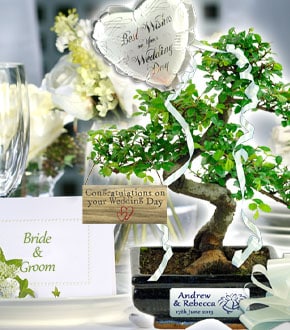 Bonsai Tree Gifts - Wedding Gifts