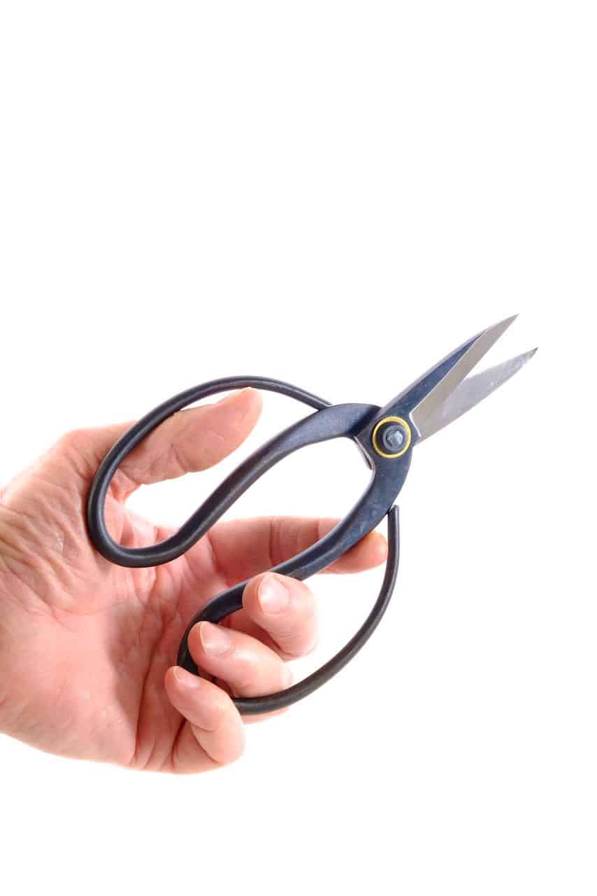 The perfect tool for repotting your bonsai and pruning the roots