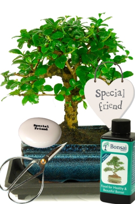 Unusual & unique gift for your special friend