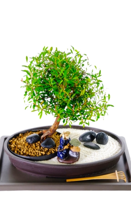 RELAXATION ZEN BONSAI AGRDEN WITH FIGURINE