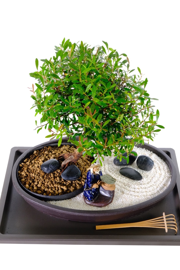 RELAXATION ZEN BONSAI AGRDEN WITH FIGURINE
