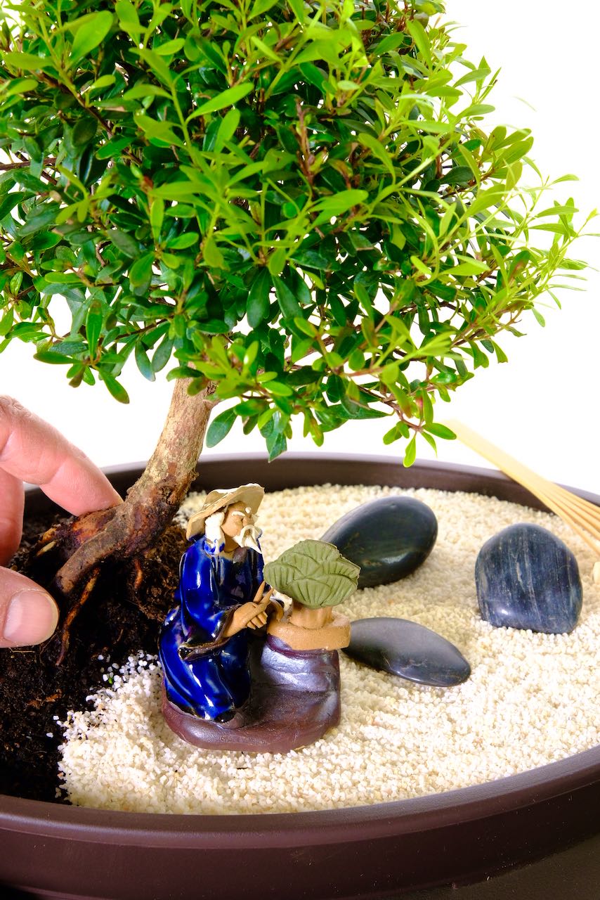 Enjoy raking the sand