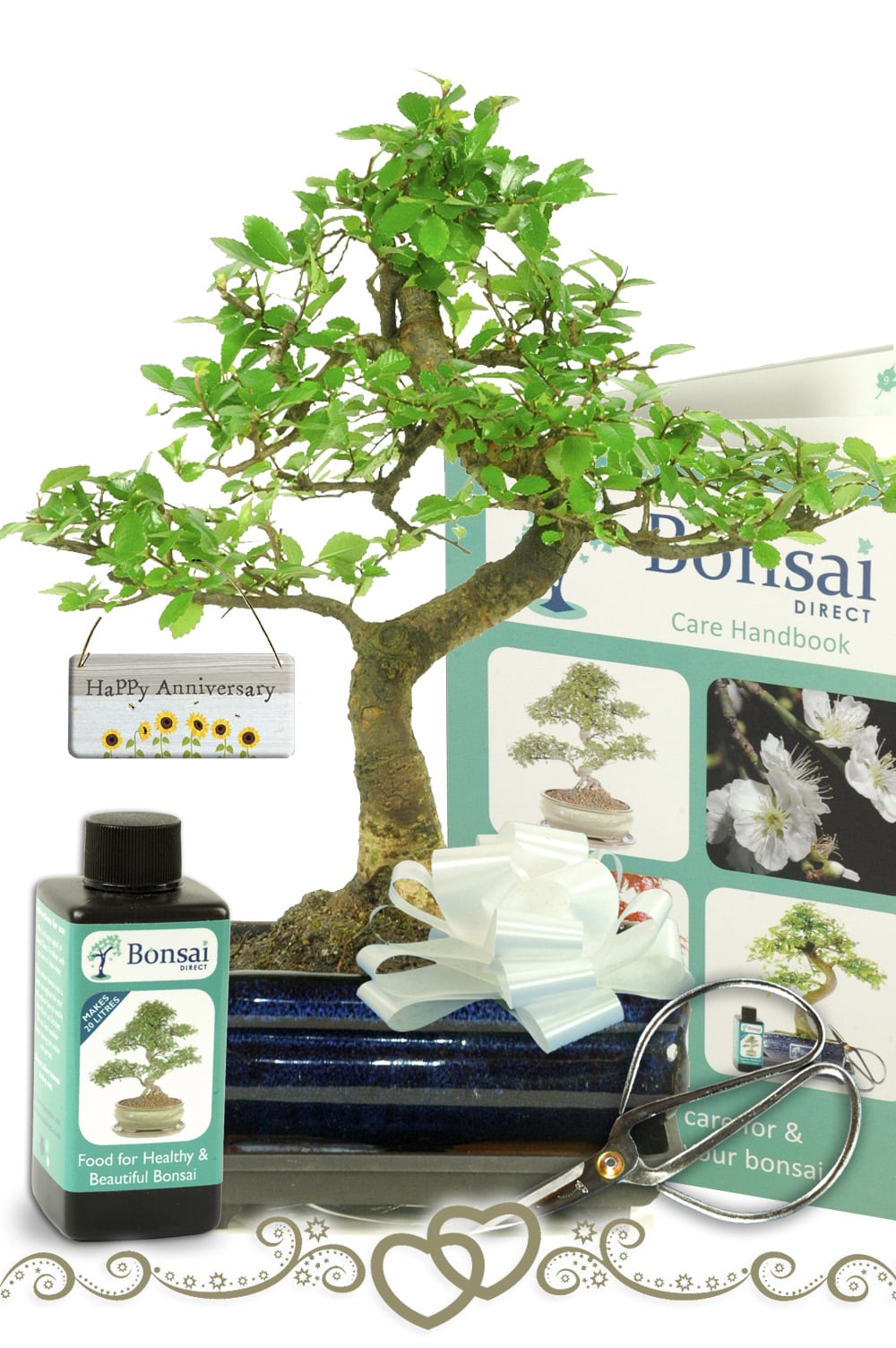 Celebrate cherished moments with the Anniversary Tree Bonsai Kit—an exquisite gift that captures the beauty of growth and love.