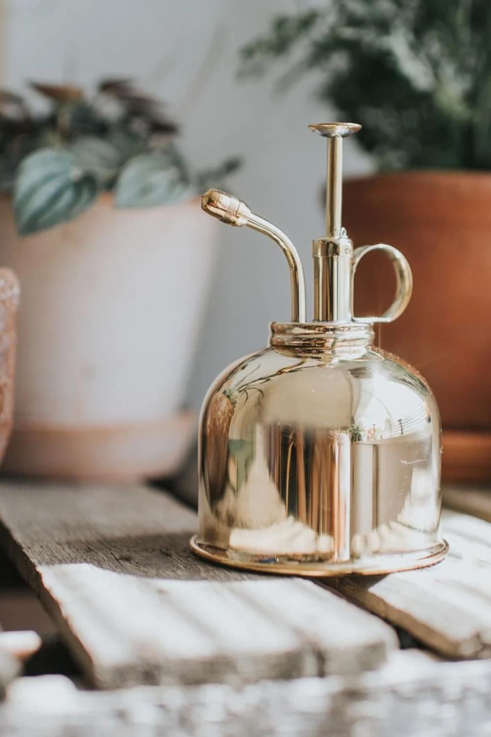 Brass bonsai miter for all houseplant spritzer