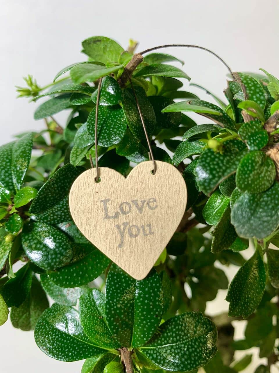 Love you heart shaped tag