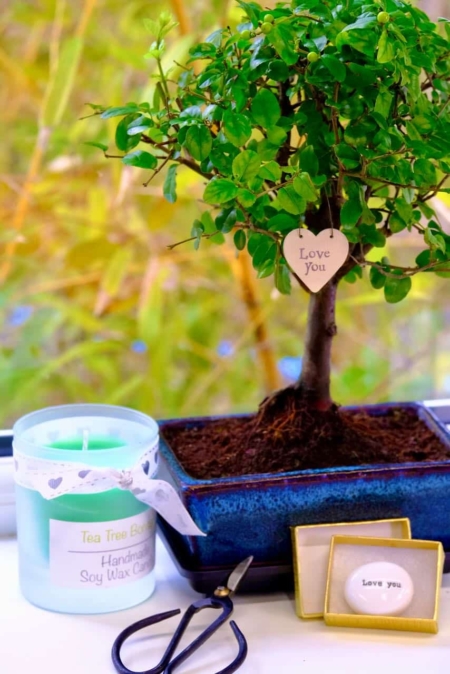 Gifts that say I love you - Fruiting Chinese Sweet Plum