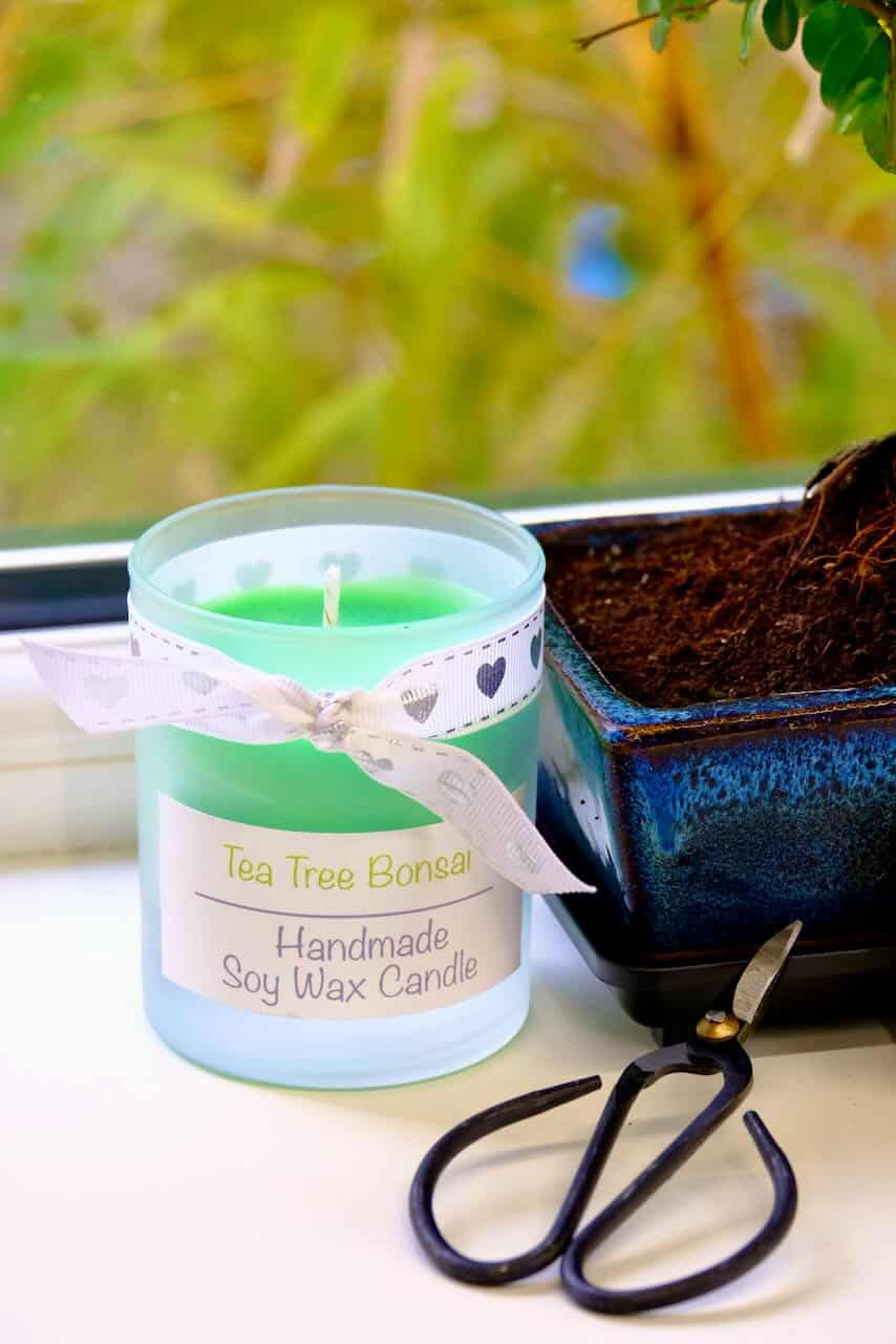 Includes Tea Tree candle, bonsai feed & small scissors