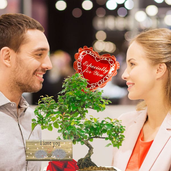 Valentines Bonsai Tree Gifts