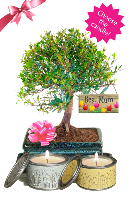 Fruiting & Flowering Mother's Day Gift | Choose your candle!