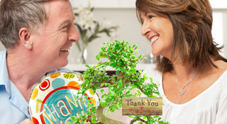 Thank you Bonsai Tree Gifts