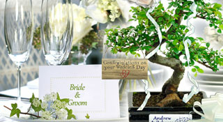 Wedding Bonsai Tree Gifts