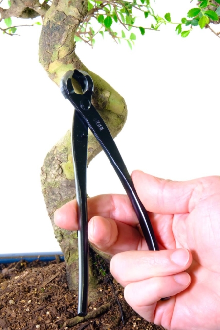 Smaller bonsai knob cutters - for removing lumps