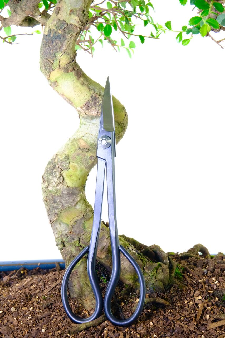 180mm top quality bonsai scissors for general pruning & tipping