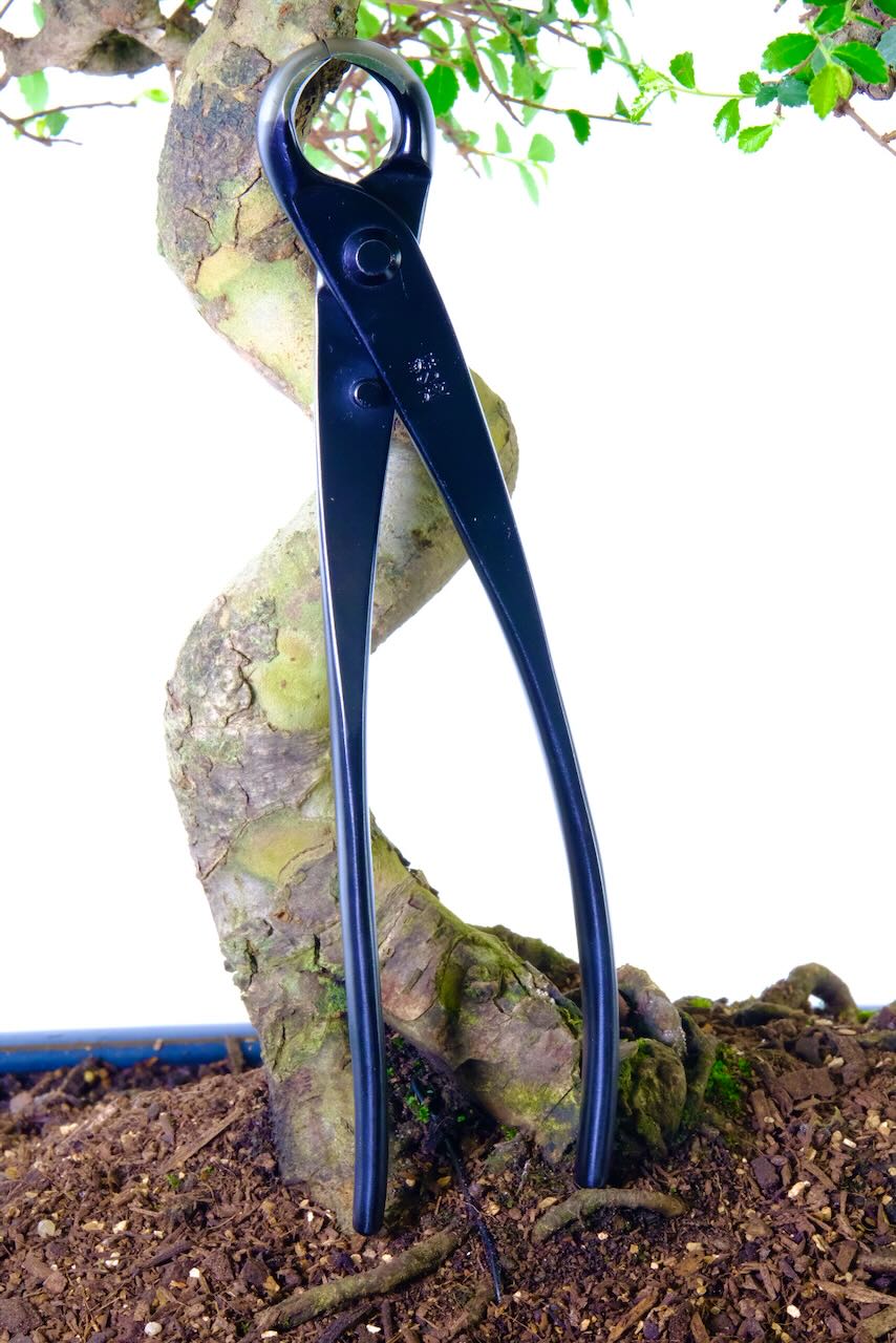 Bonsai knob cutters for sale - larger size high quality