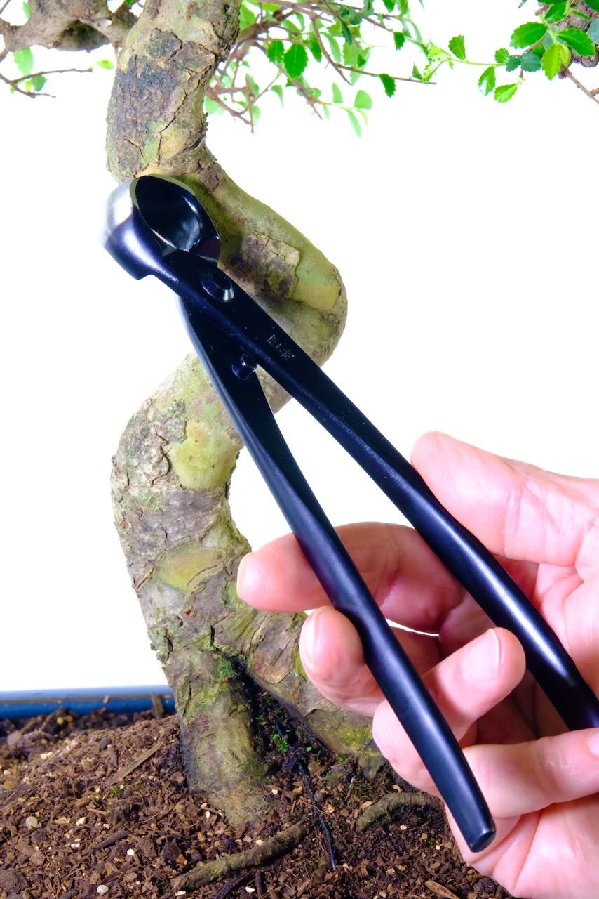 210mm Bonsai knob cutters | high quality