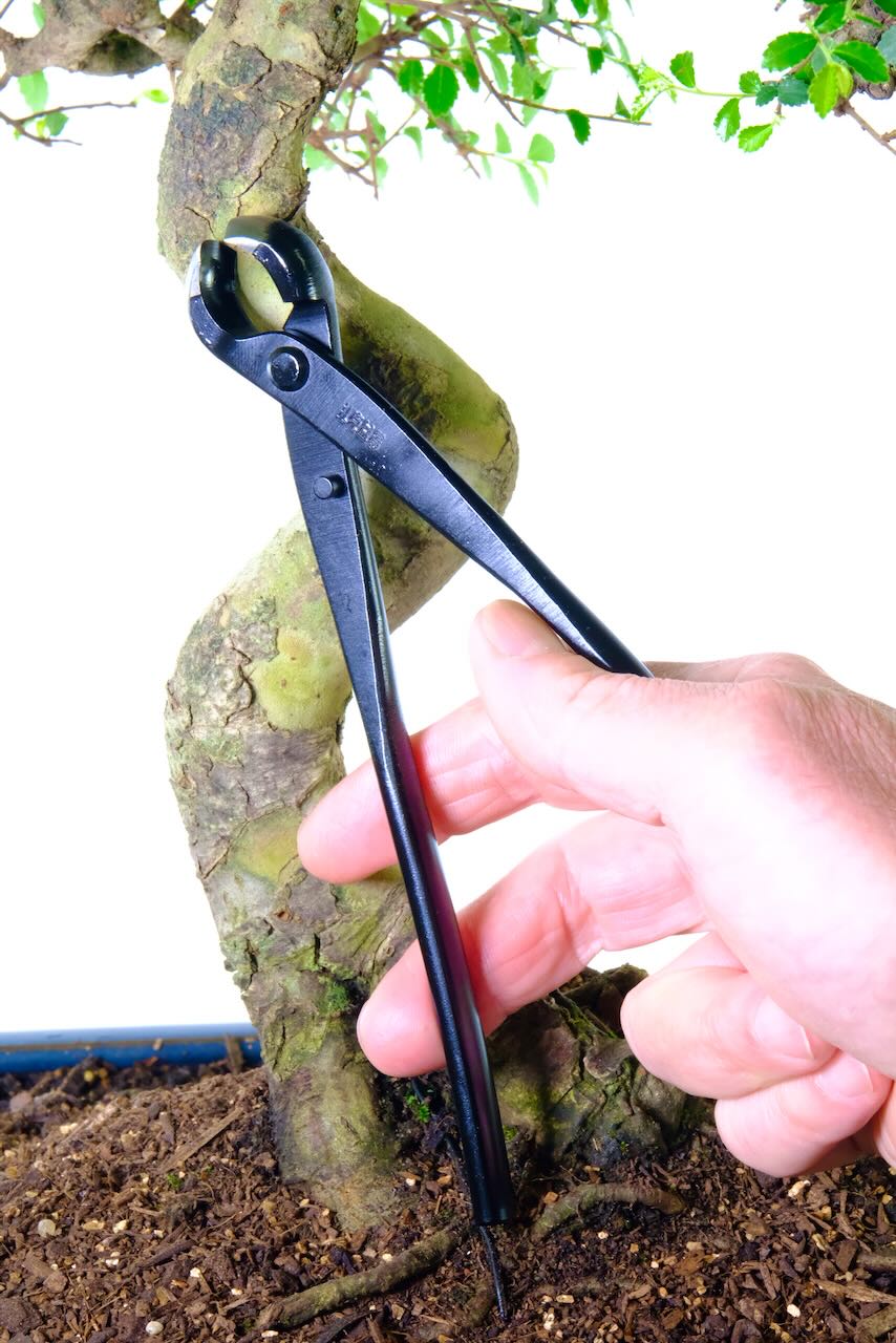 Bonsai knob cutters | larger 210mm size - top quality tools