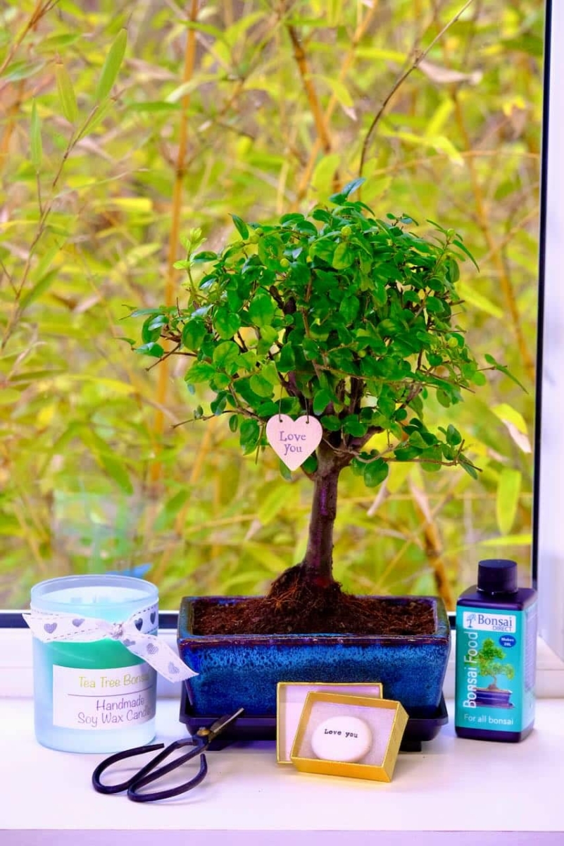 Valentine's Day gifts