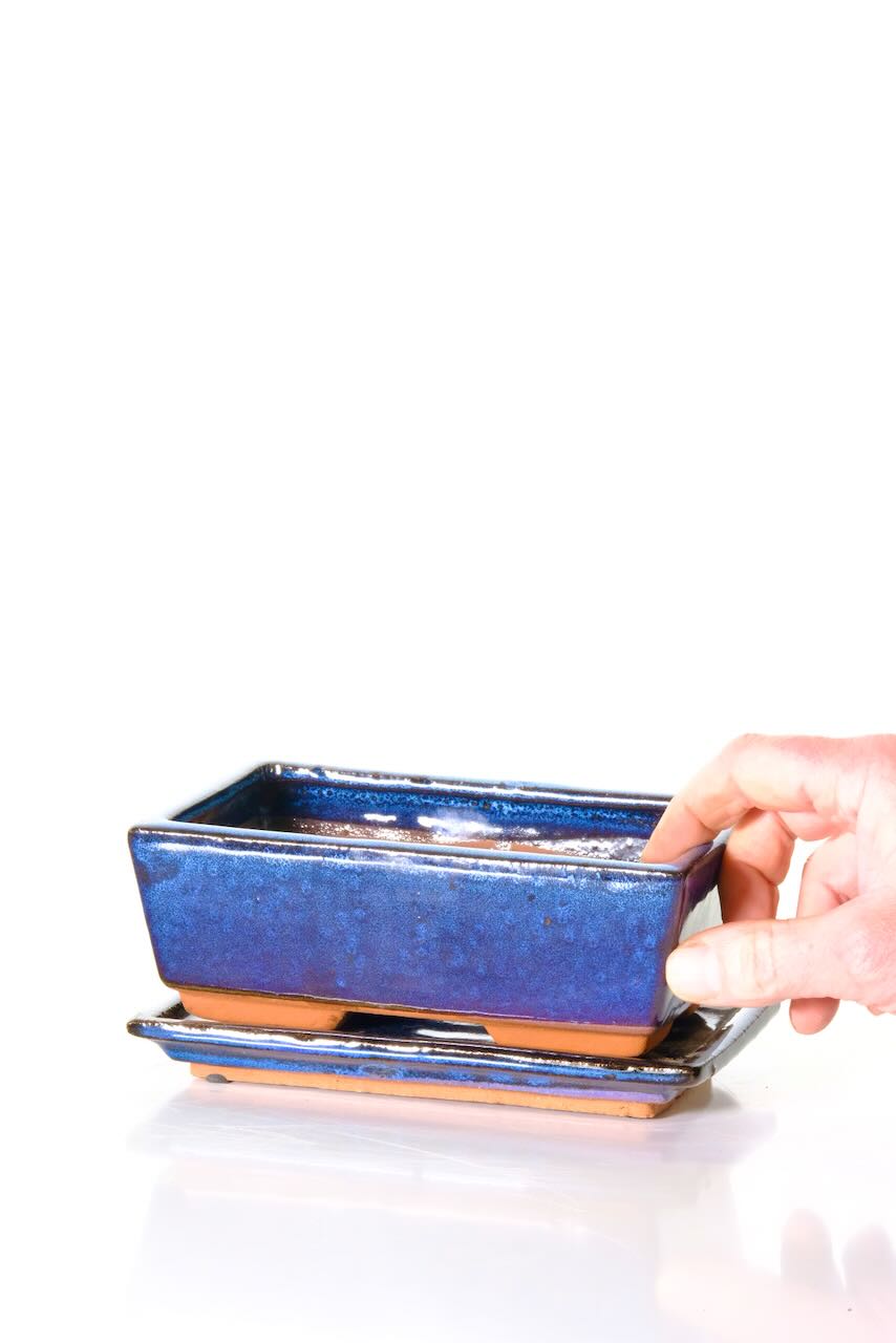 Ideal bonsai pot to replace broken pots or pot up smaller bonsai