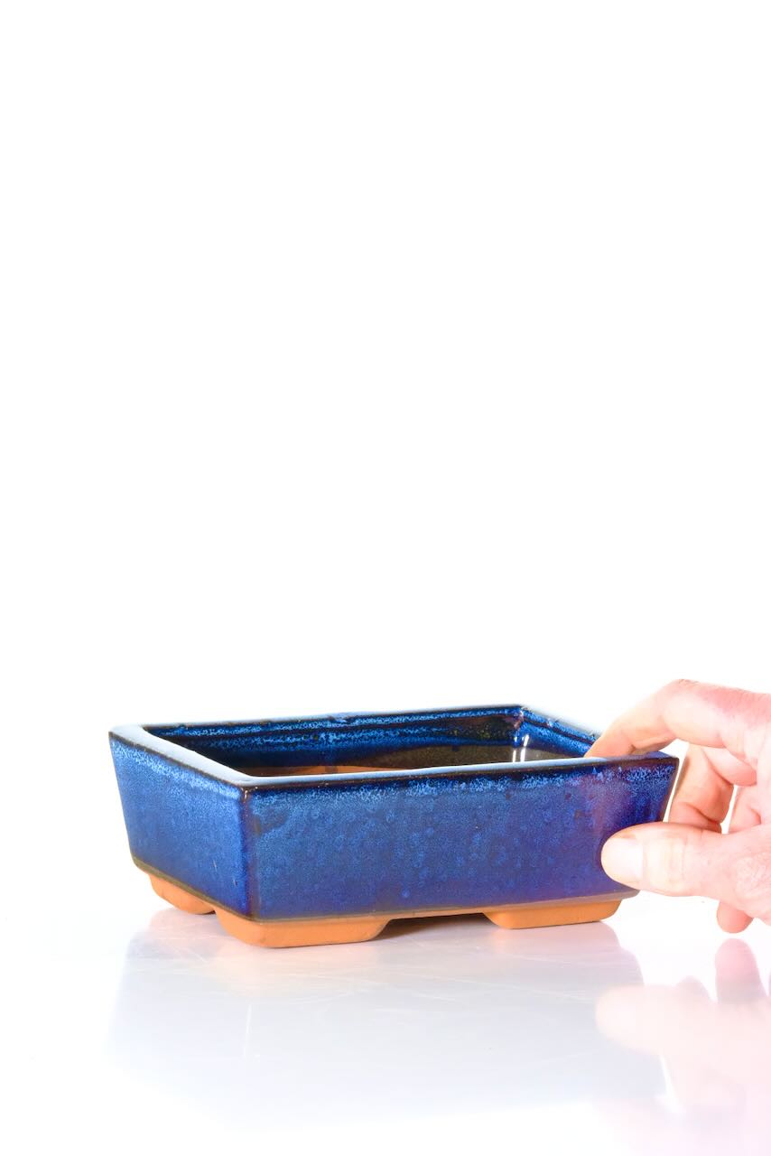 Rectangular bonsai pot | Classic blue colour