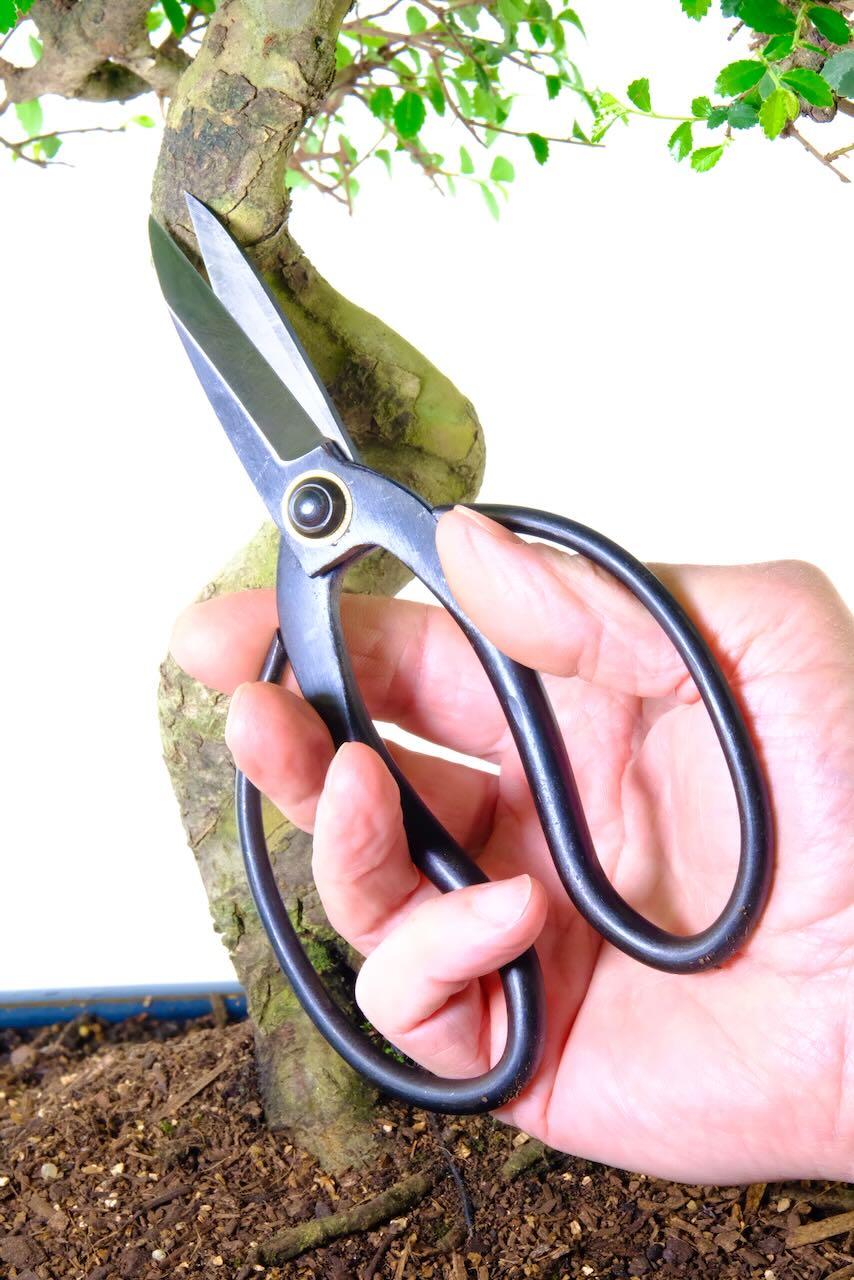 Bonsai Roots shears | High quality bonsai tools