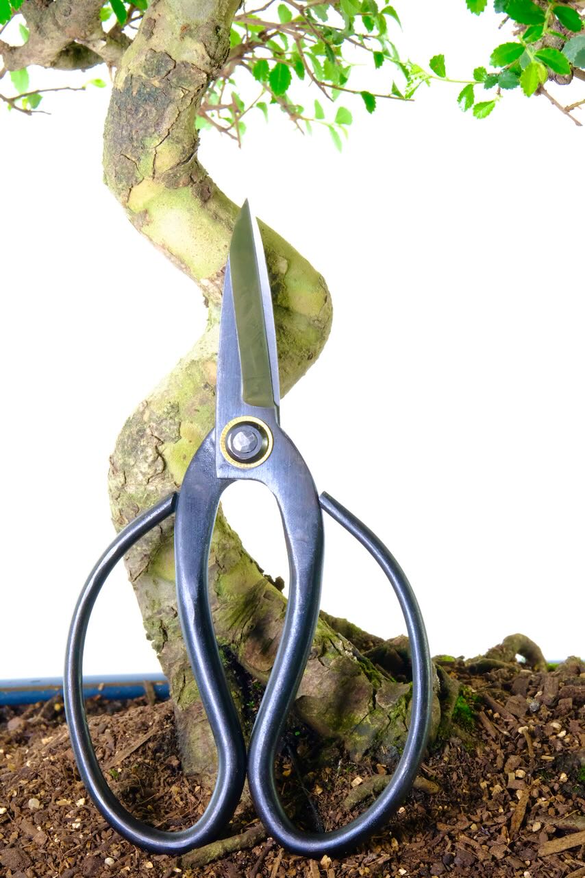 Shears for root pruning bonsai trees | High quality bonsai root shears