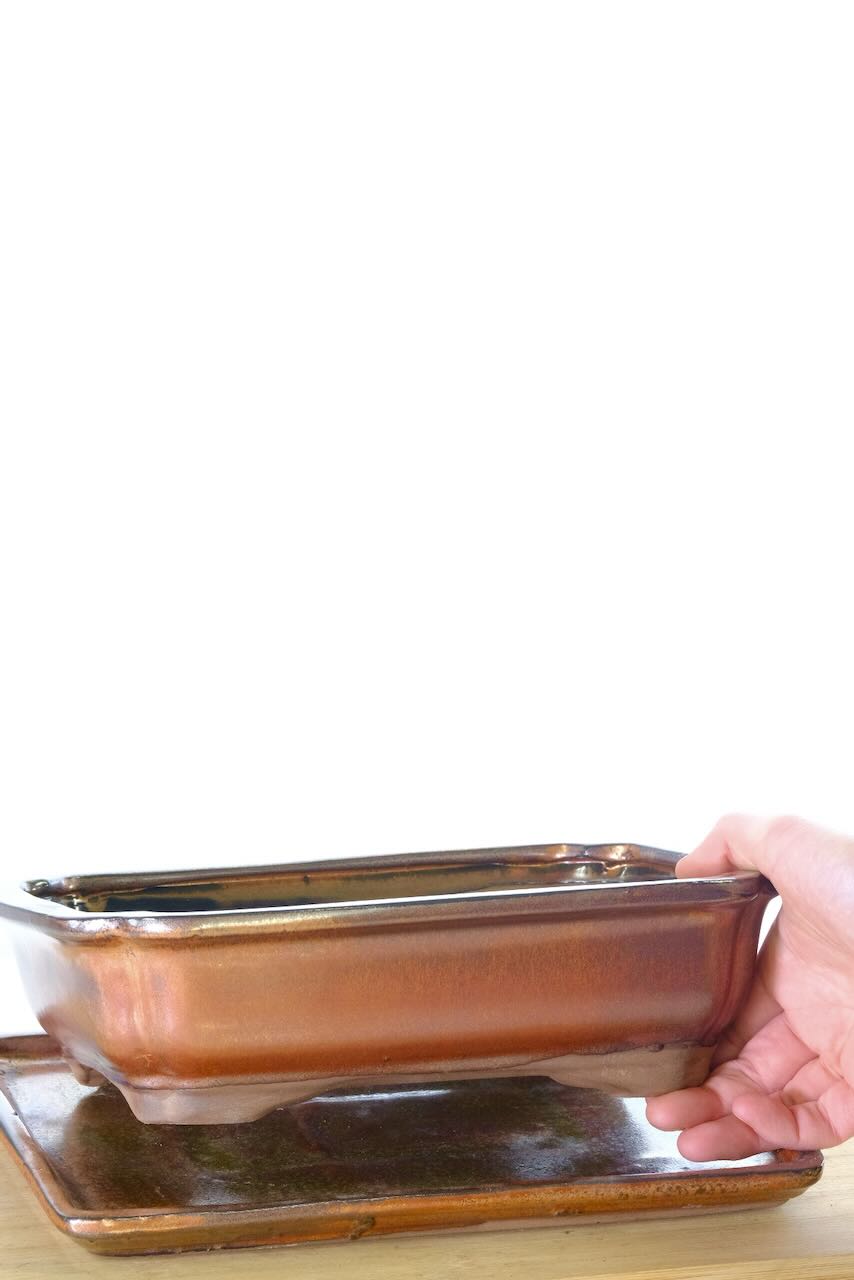 FREE delivery to mots of the Uk - Choose the date!