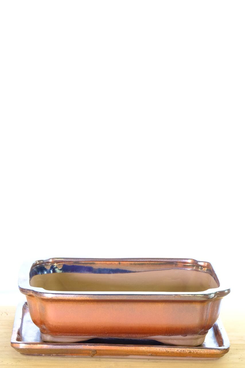 21cm/8 Inch Fluted Rectangular Glazed Bronze Oxide Ceramic Bonsai Pot with Matching Tray