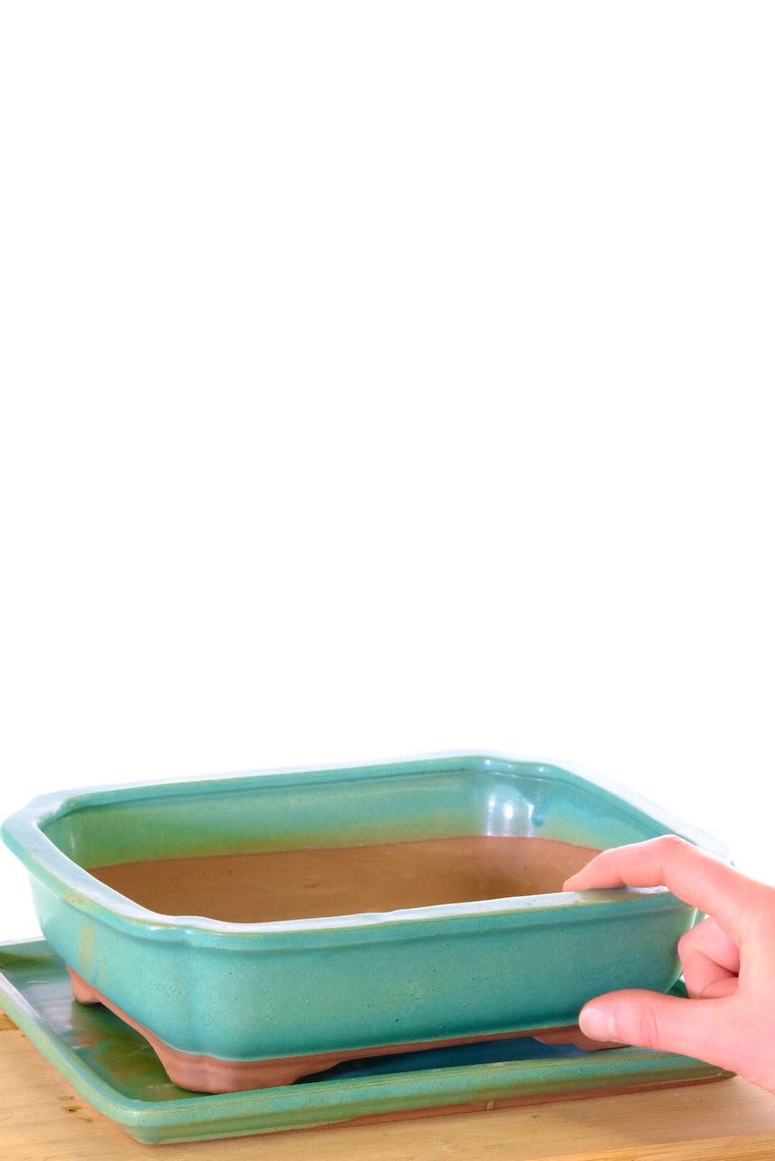 FREE delivery of this tasteful bonsai pot 27cm to most areas