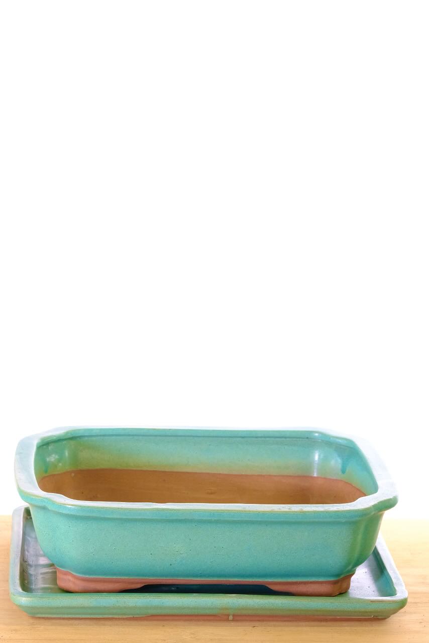 Rectangular bonsai pot 10 inch with tray - Sage green