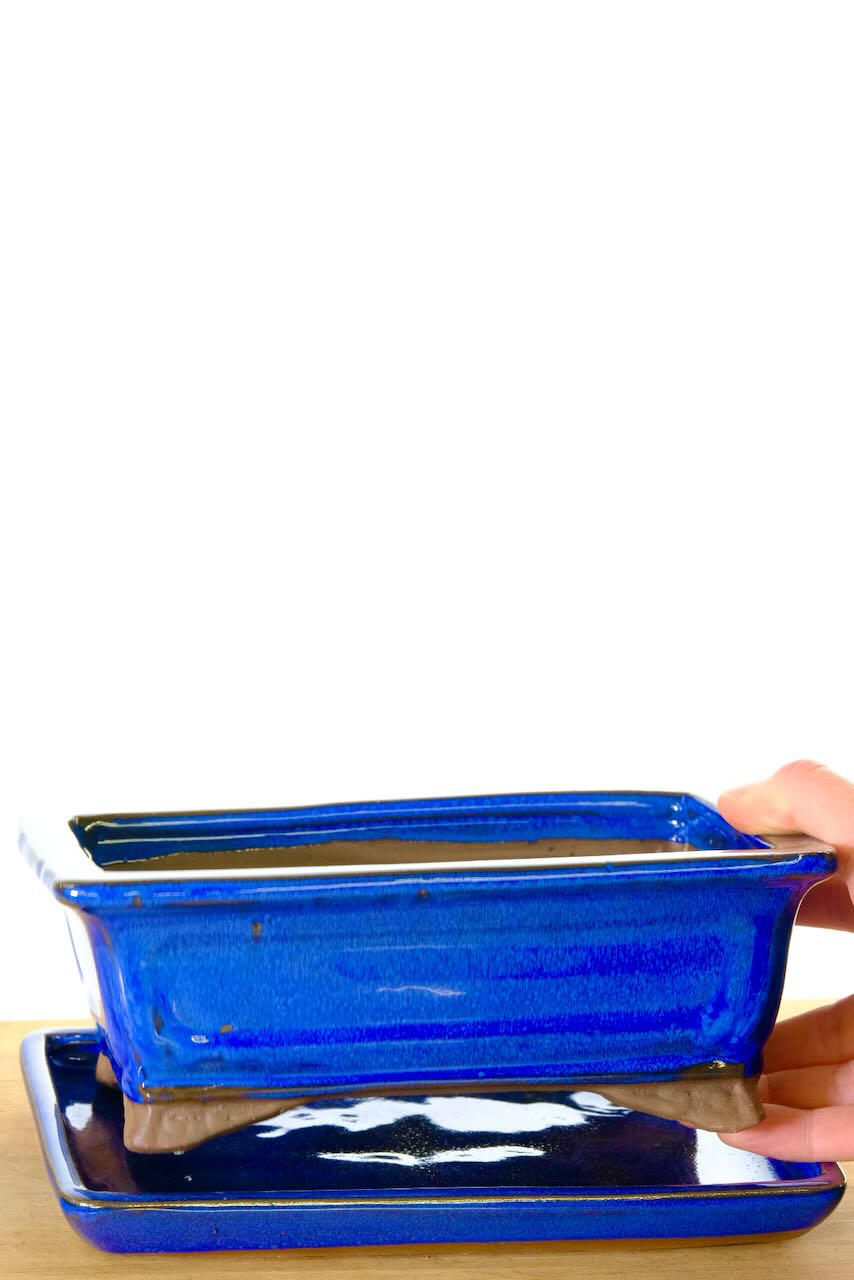 FREE delivery available on the date you choose