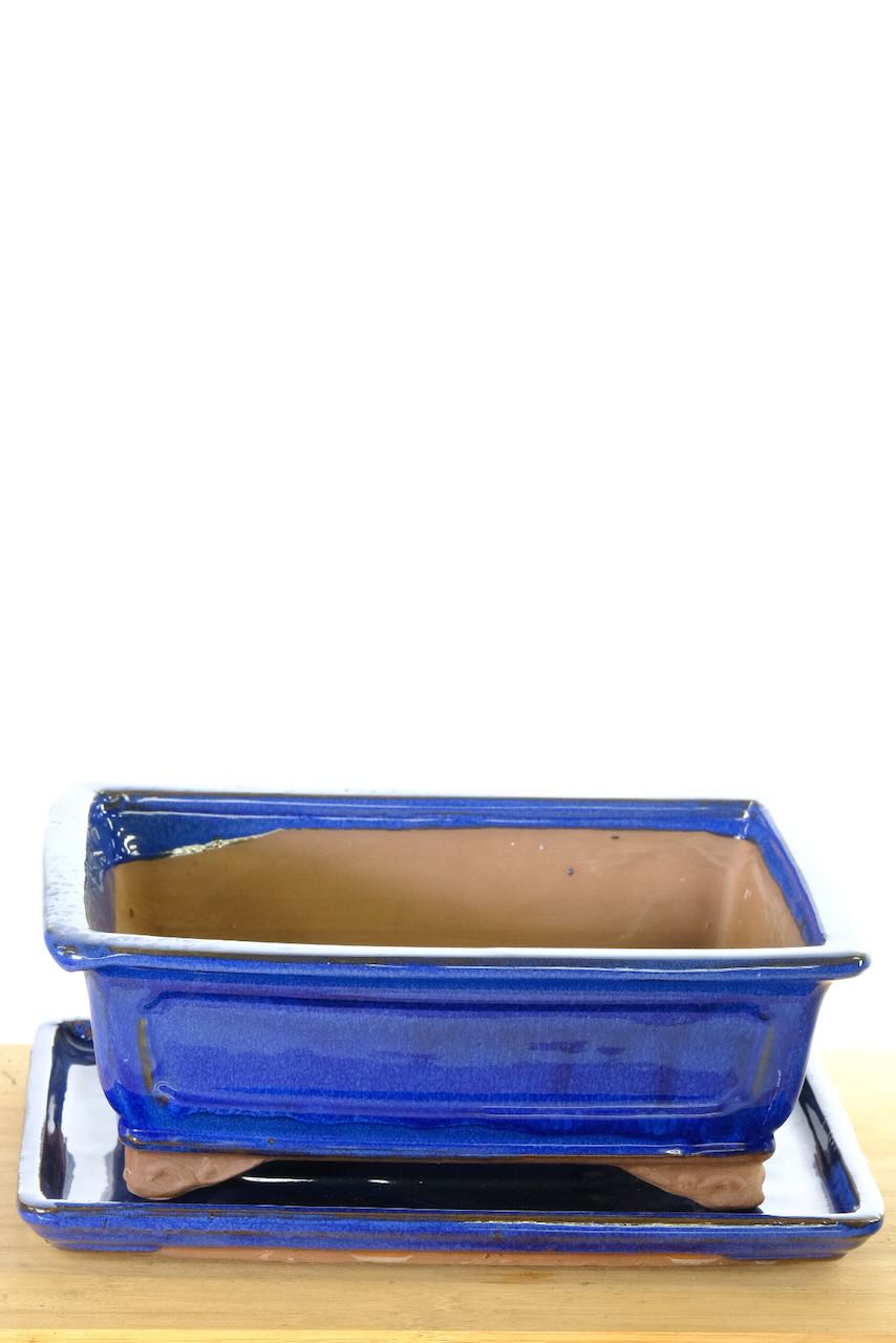 FREE soil, mesh and wire to support your bonsai potting